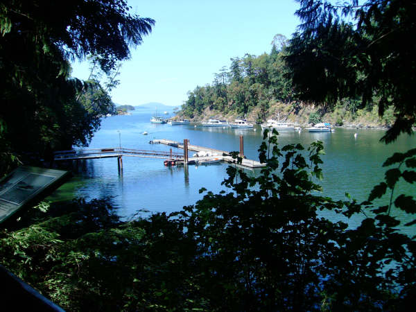 Memory Photo 7